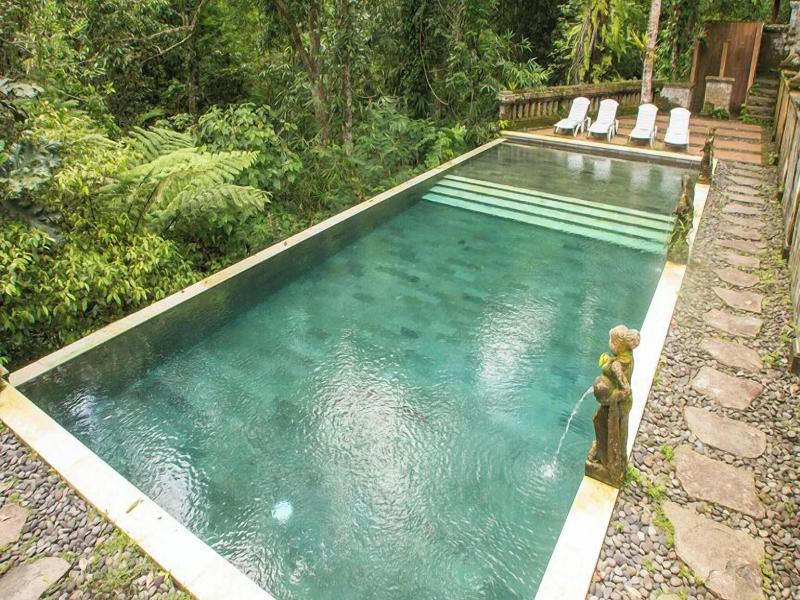 Bali Jungle Huts image