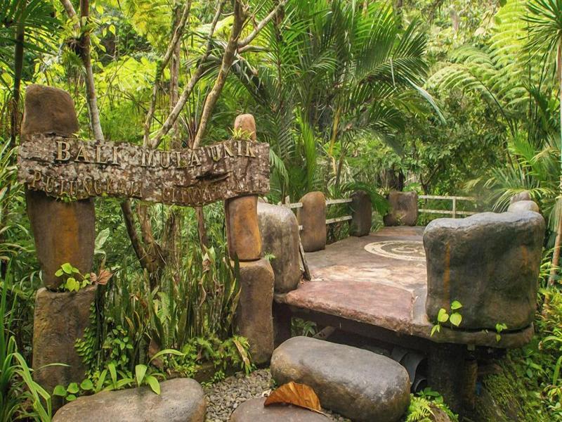 Bali Jungle Huts image