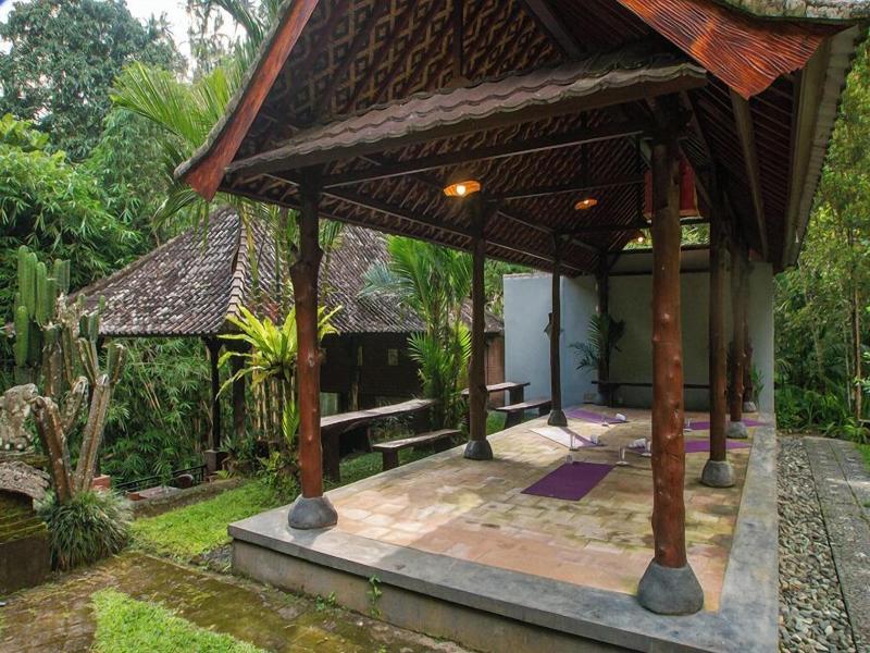 Bali Jungle Huts image