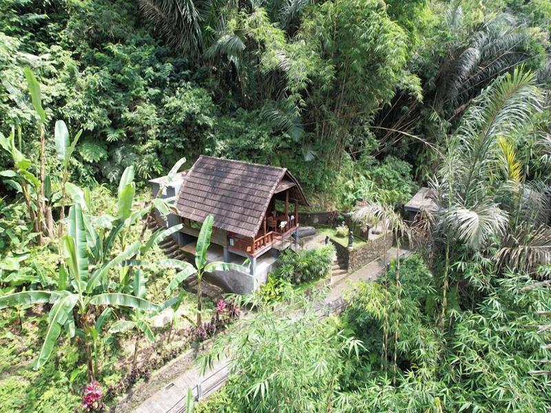 Bali Jungle Huts image
