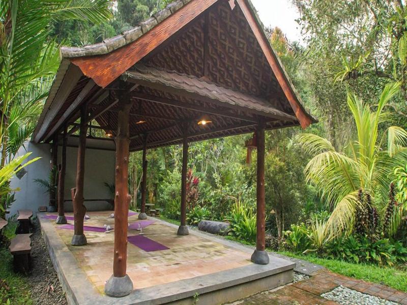 Bali Jungle Huts image