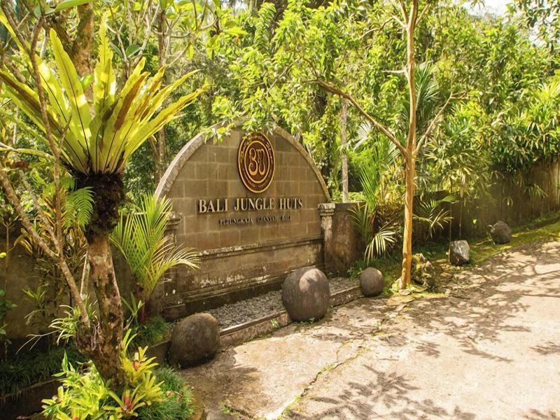 Bali Jungle Huts image