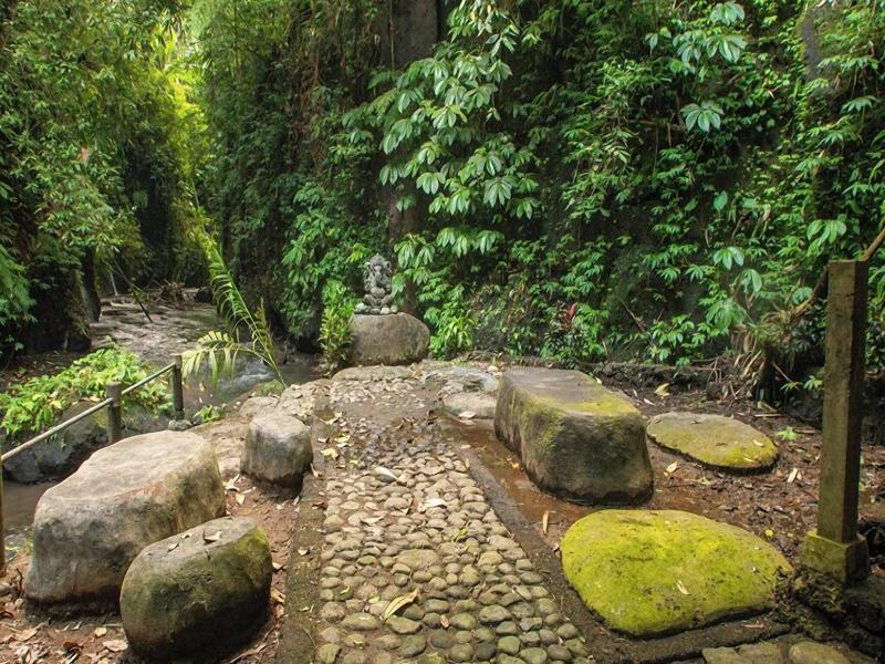 Bali Jungle Huts image