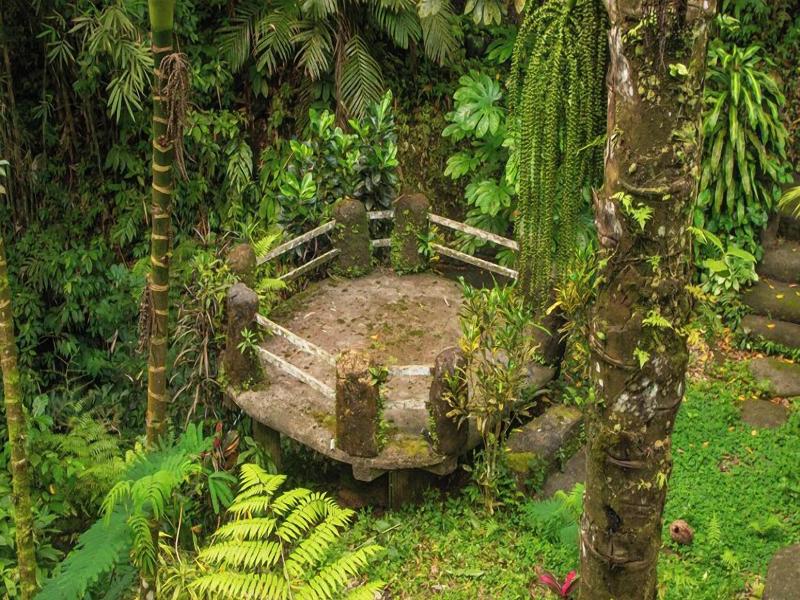 Bali Jungle Huts image