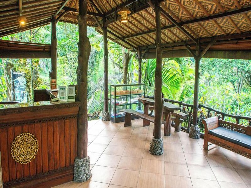 Bali Jungle Huts image