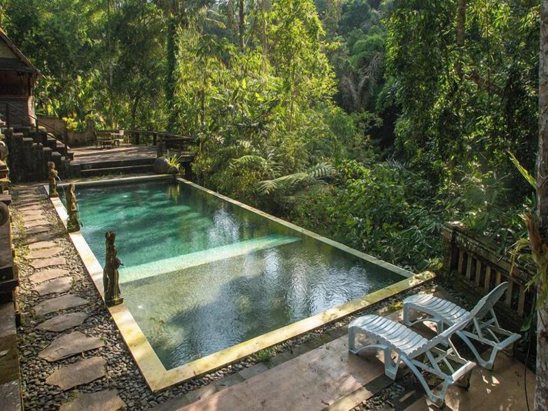 Bali Jungle Huts image