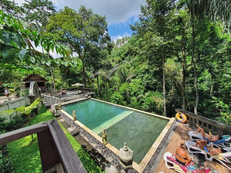 Bali Jungle Huts image