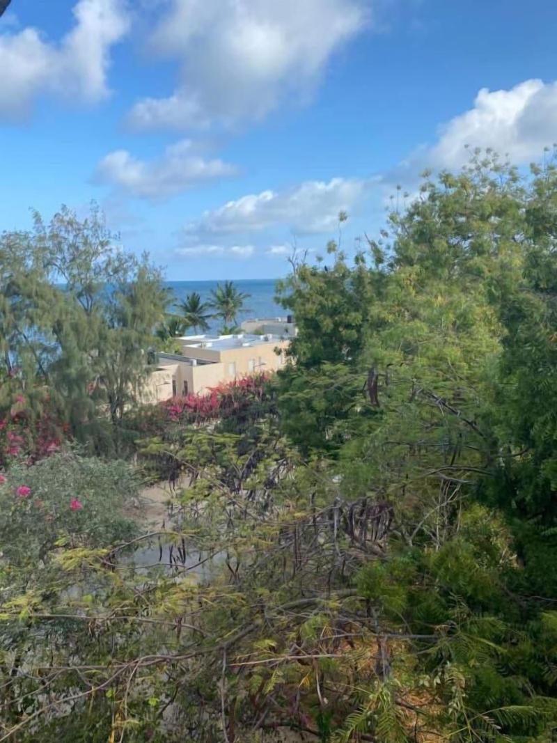 Silver Rock Hotel image