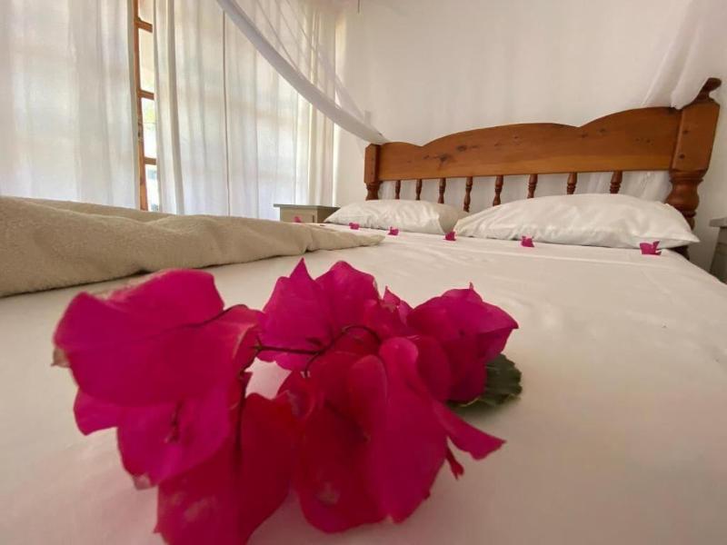 Silver Rock Hotel image