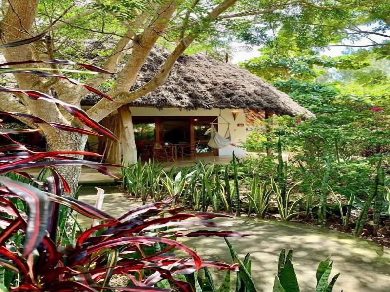 Marafiki Bungalows image