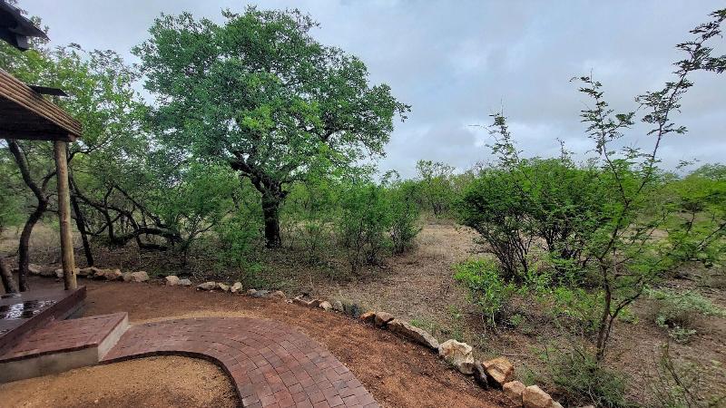 The Baobab Bush Lodge image