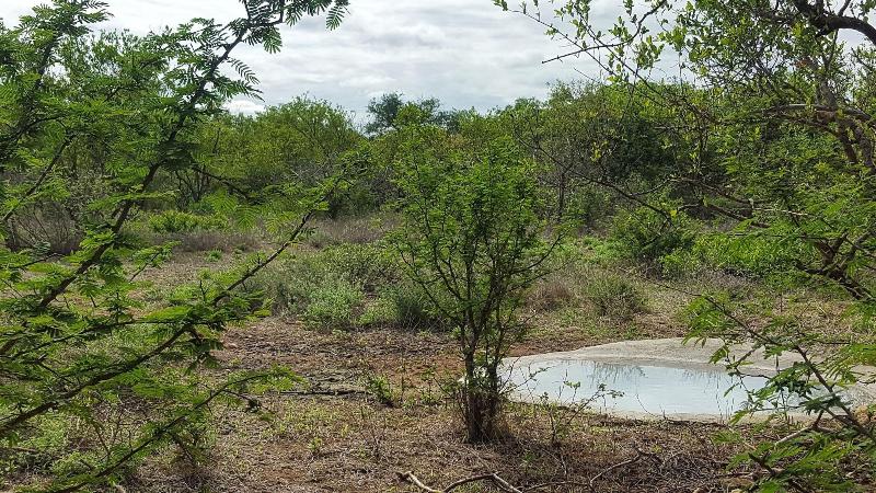 The Baobab Bush Lodge image
