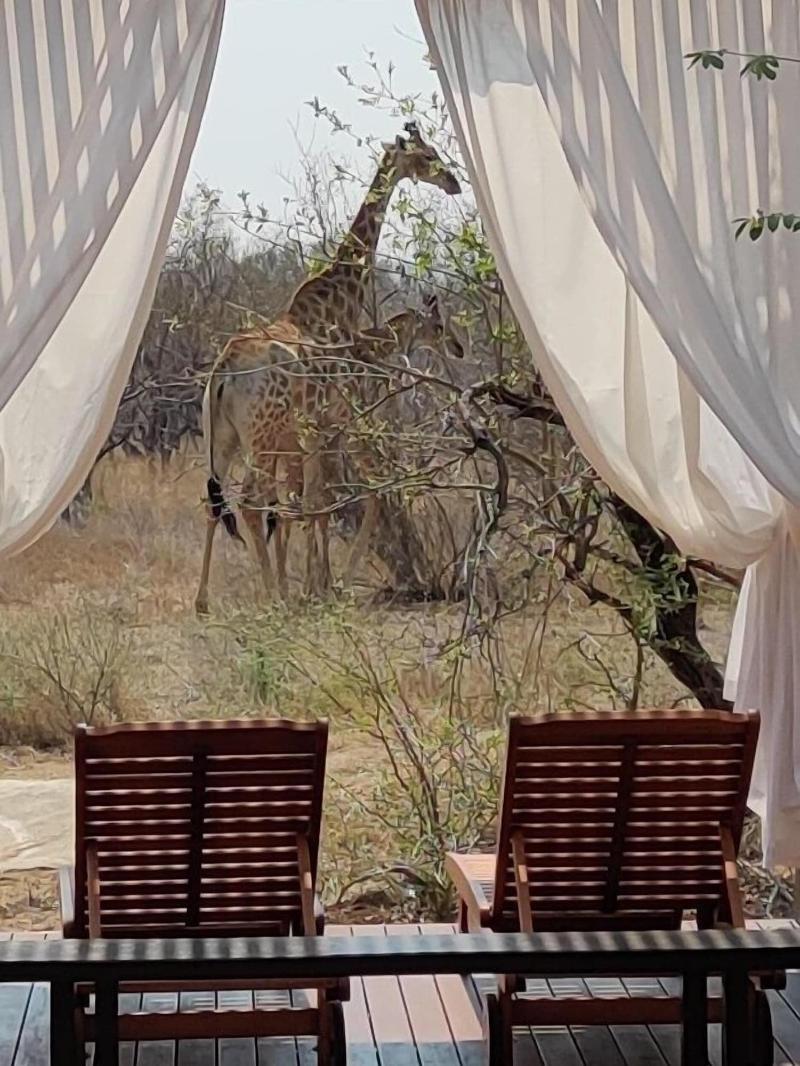 The Baobab Bush Lodge image
