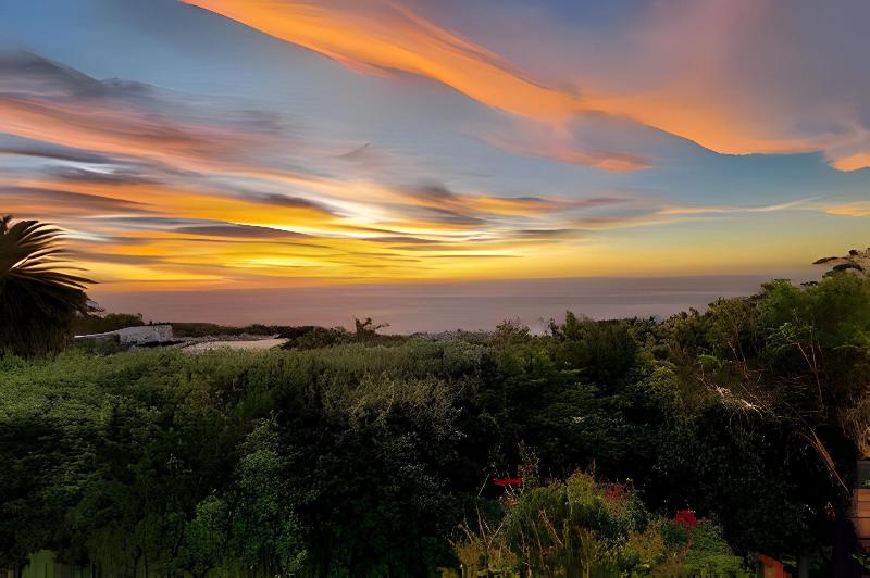 Cape Rose Cottage image