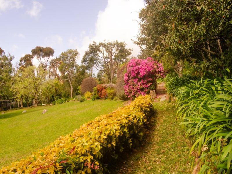 Ikhaya Safari Lodge image