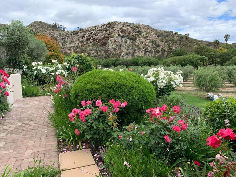 Montagu Vines Guest House