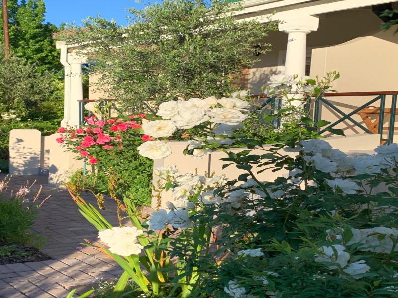 Montagu Vines Guest House