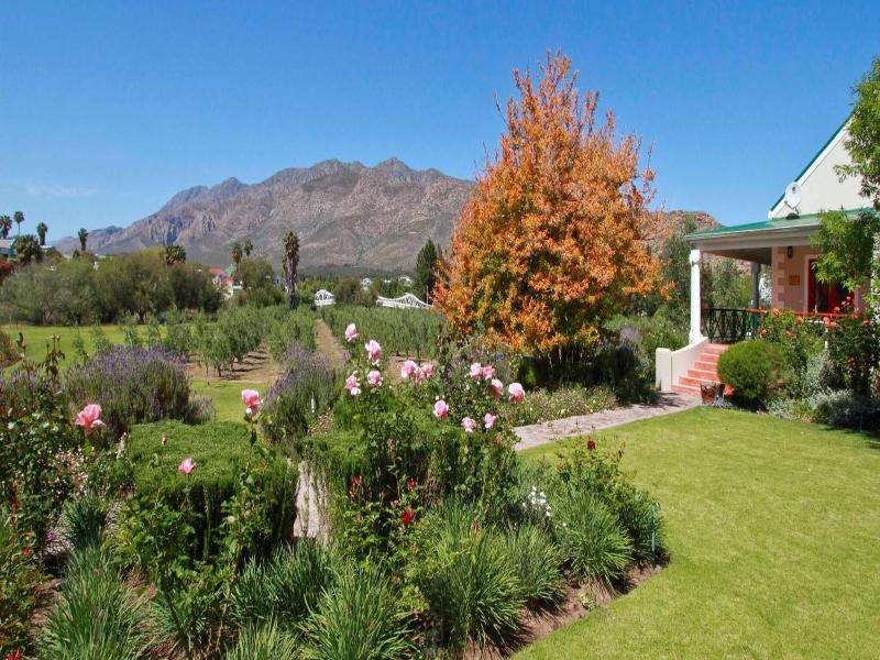 Montagu Vines Guest House