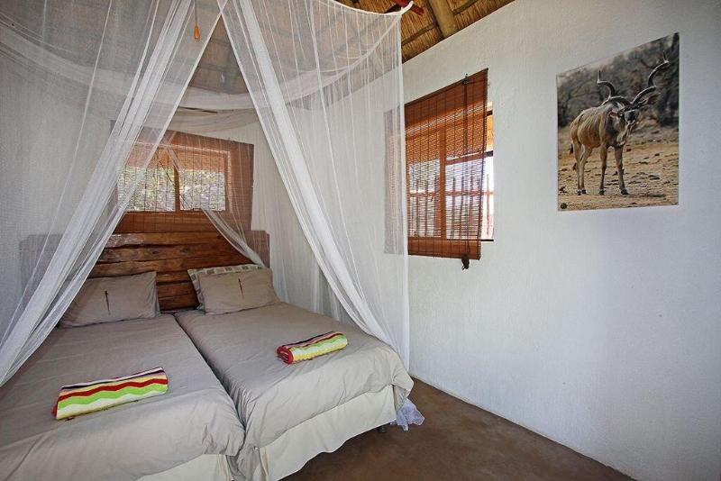 Normann Safari Bush Lodge image
