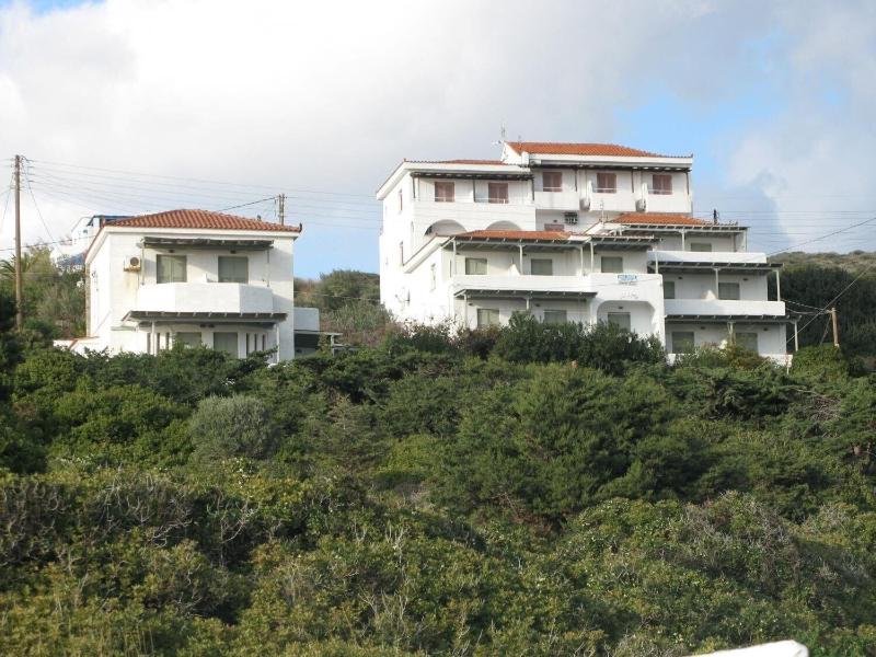 Nora Norita — general view