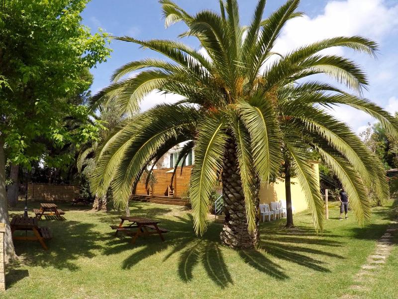 Résidence les Caraibes image