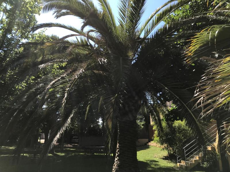 Résidence les Caraibes image