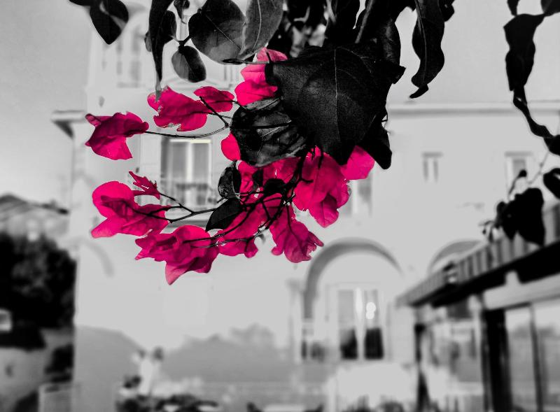 Hôtel Reine D'Azur image