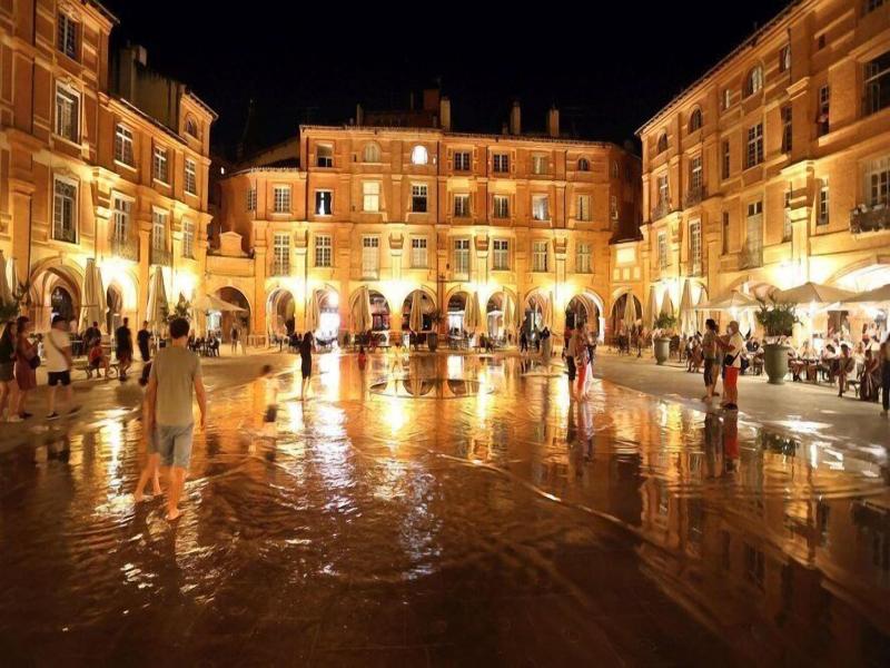 Brit Hotel Confort Montauban image