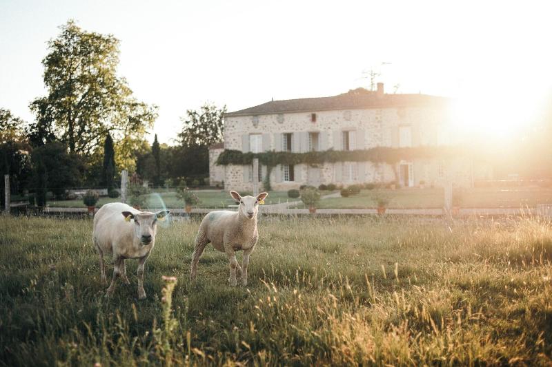Domaine De La Partoucie image
