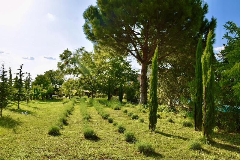 Bastide Saint Didier image