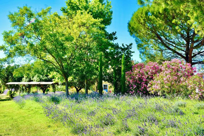 Bastide Saint Didier image