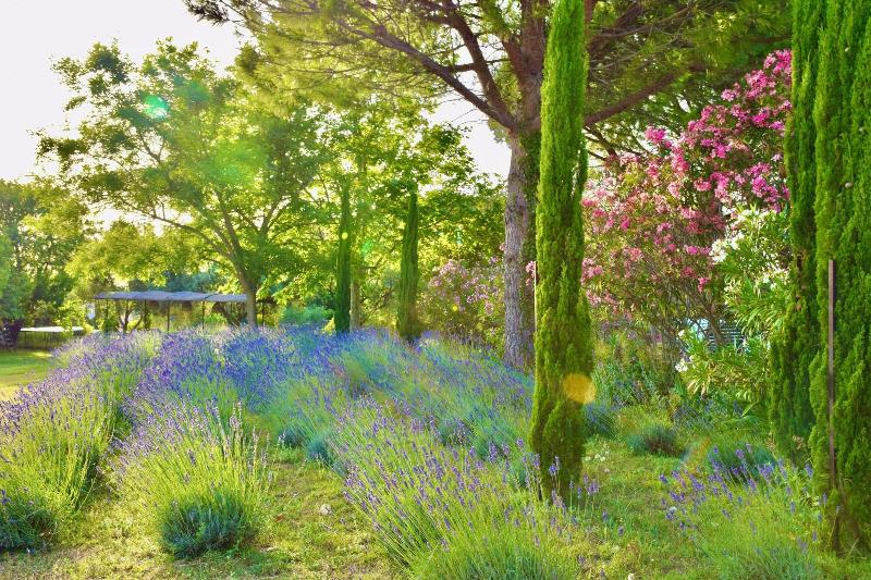Bastide Saint Didier image