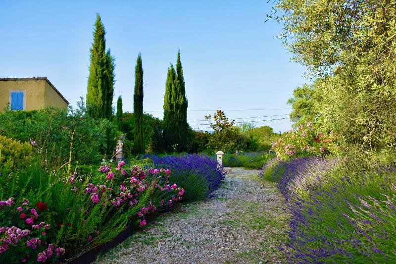 Bastide Saint Didier image