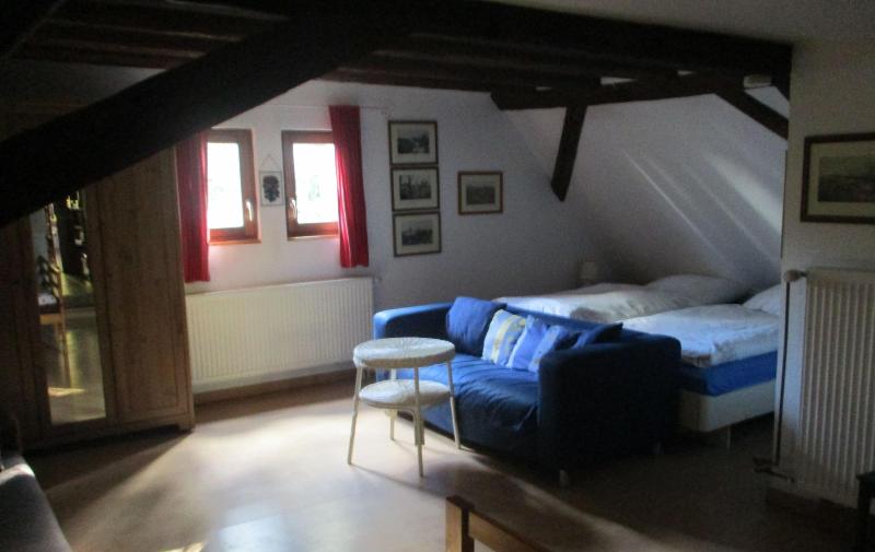 Maison d'hôte Alsace/Domaine du Moulin image