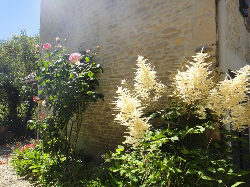 Le Mas Normand — photo 4