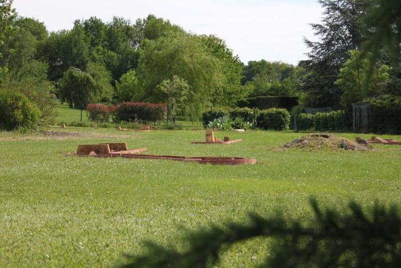 Bella Simonetta image