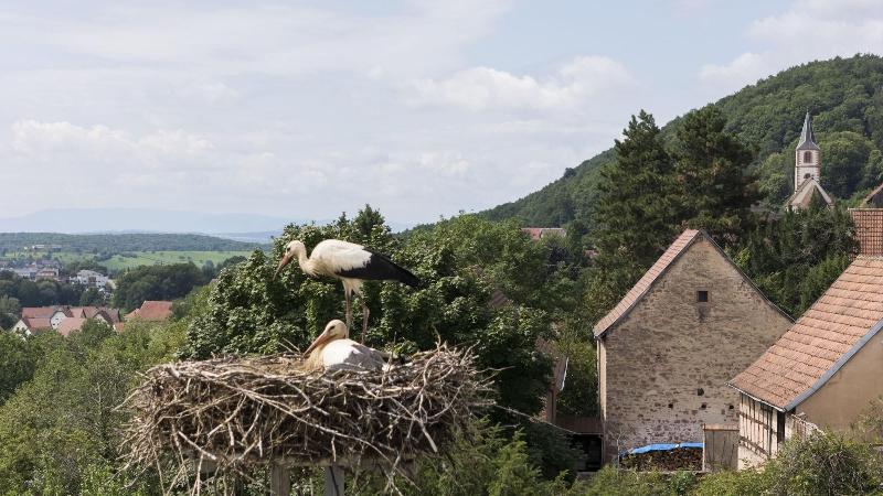 Maison d'Accueil du Très-Saint-Sauveur image