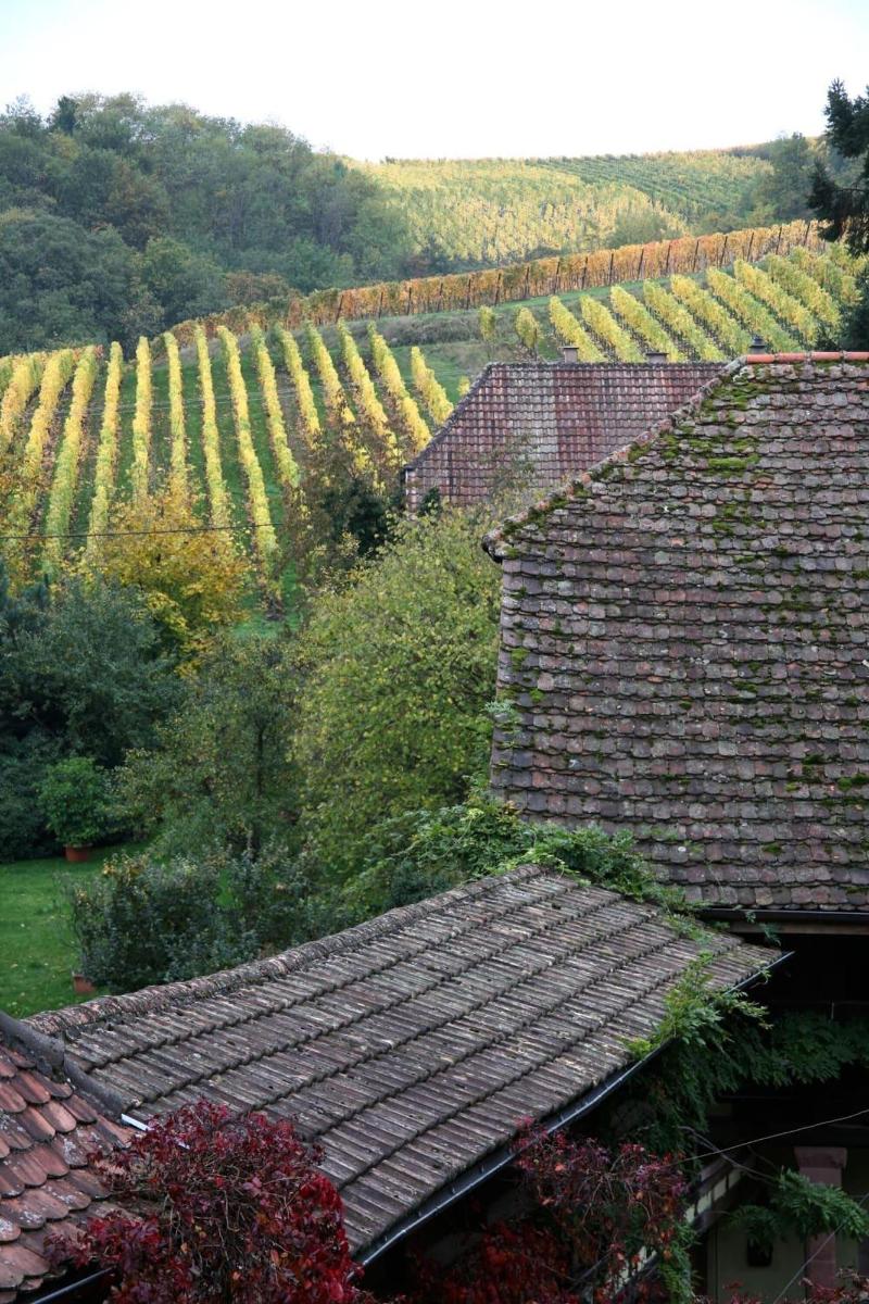 Pêche de Vigne & Spa image