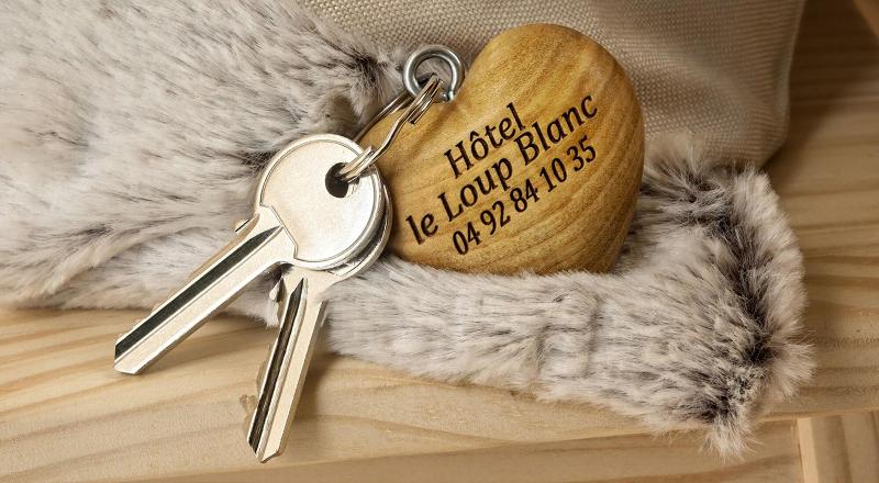 Hôtel Le Loup Blanc image