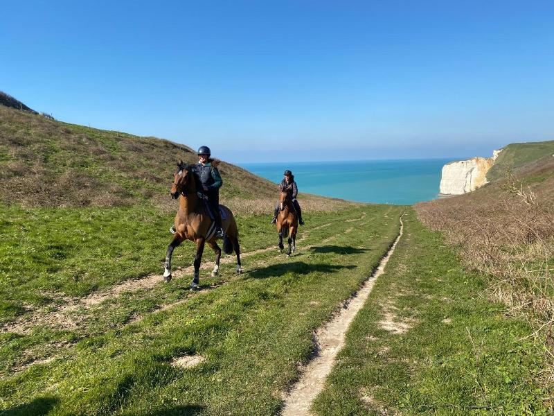 Domaine Equestre Etretat image