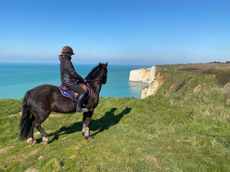 Domaine Equestre Etretat image