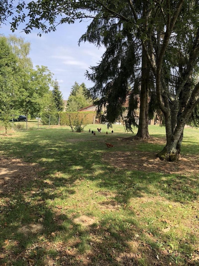 Au Coq Des Bois