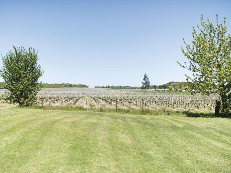 Domaine De Quittignan Brillette image