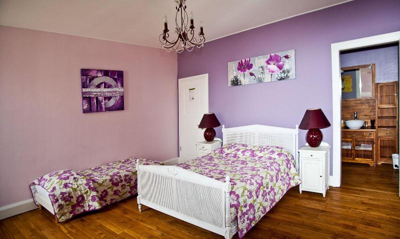 Manoir François 1er image