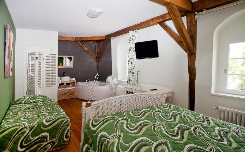 Manoir François 1er image