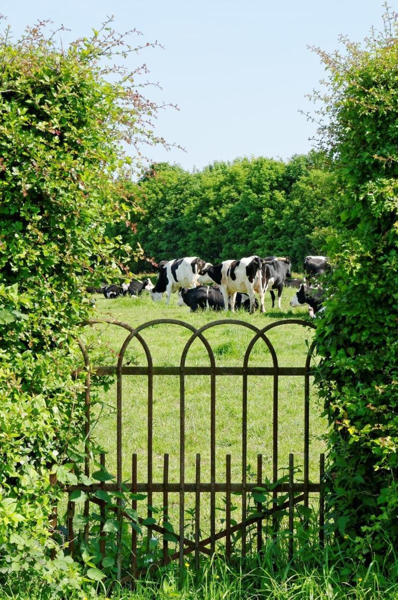La Ferme Aux Charmes image