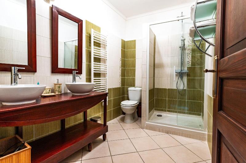 Hôtel Particulier Payan-Champier image