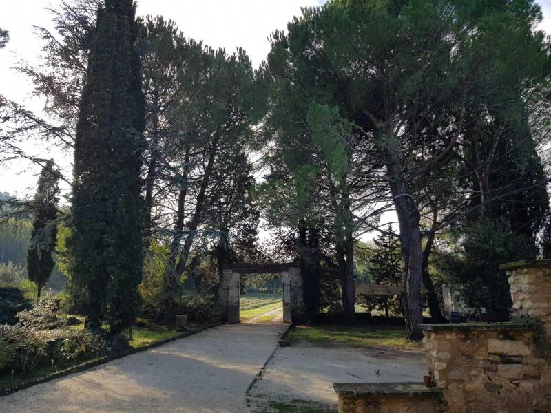 Mas Les Echelettes -  Maison d'Hôtes image
