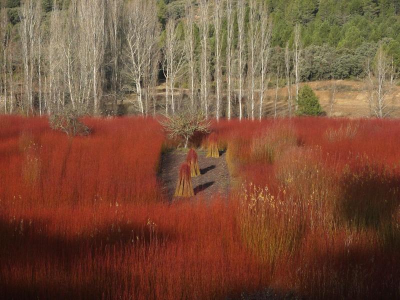 Cabañas El Llano de los Conejos