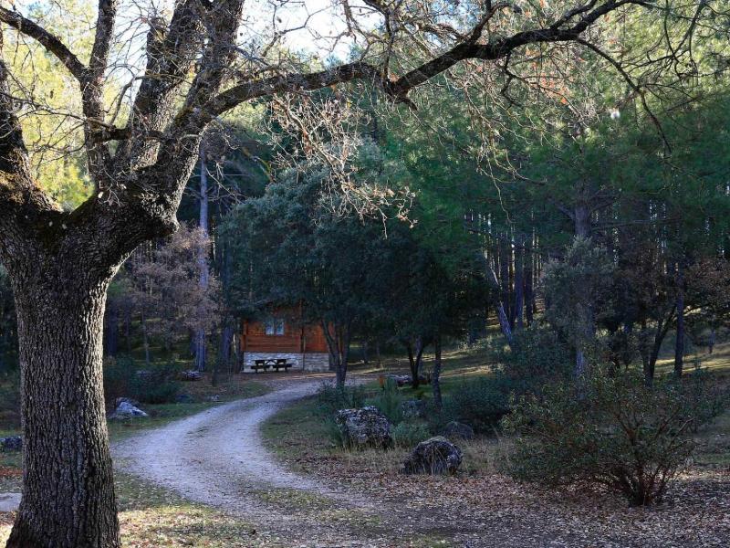 Cabañas El Llano de los Conejos